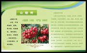 水果树简介宣传栏 果园宣传展板