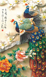 工笔孔雀装饰画下载