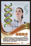 基因技术宣传展板