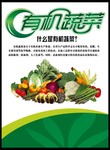 有机蔬菜宣传海报