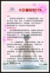 SPA美容宣传海报
