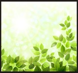 清新绿叶背景矢量