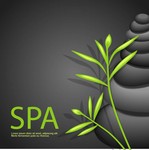 SPA��������ͼƬ