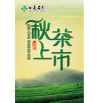 秋茶上市宣传海报