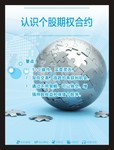 证券公司挂图模板 个股期权宣介绍
