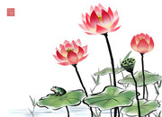 手绘水彩荷花图片