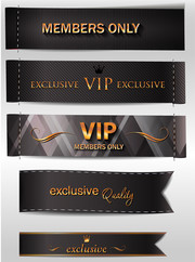���ε������ VIP��ǩʸ��ͼ