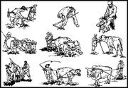农耕速写图片 劳作简笔画素材
