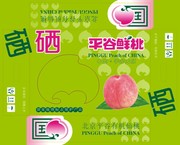 鲜桃特产包装平面图