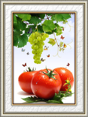 ����װ�λ��ز� ����������������