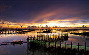 台湾七股潟湖景观图片