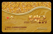 VIP金卡模板