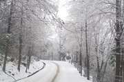 张家界雪景图片