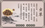 中药宣传KT板设计素材