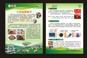 羊肉宣传单页模板