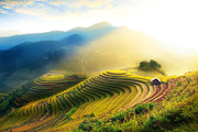唯美梯田风景图片