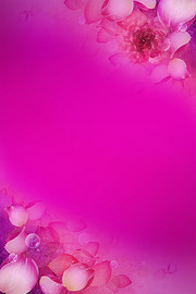 粉色花瓣背景图片