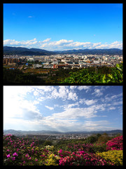 茶城全景图片下载