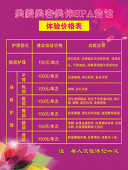 美容馆SPA价格表设计