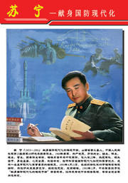 苏宁生平简介展板下载