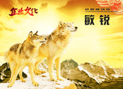 企业口号标语展板