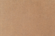 �鲼��������ͼƬ