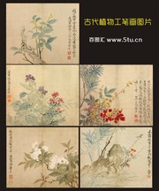 古代植物工笔画册