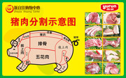 猪肉分割示意图下载
