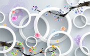 3DȦȦ���ӱ���ǽ