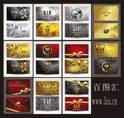 VIP��ģ���ȫ