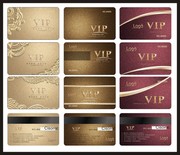 VIP����ģ��