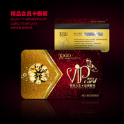 ʱ��VIP��ģ�����