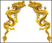 一对金龙PSD素材