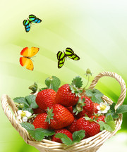 ��ݮˮ��������ͼƬ