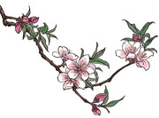桃花矢量