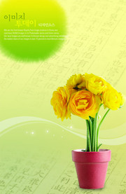 盆栽鲜花背景图片