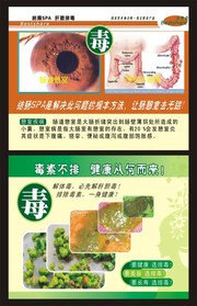 医院肝胆排毒展板