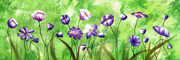 清新花卉装饰画