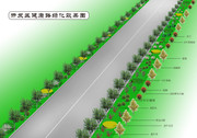 道路绿化效果图