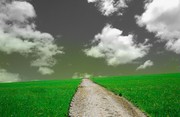 乡间小路绿草图片