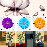 漂亮花卉三联无框画