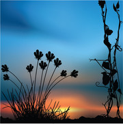 手绘夕阳下的风景图片