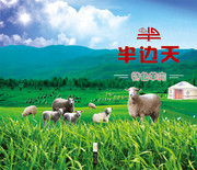 牧羊场海报设计