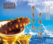 海参广告图片