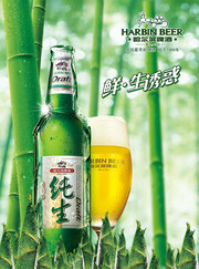 哈尔滨纯生啤酒海报