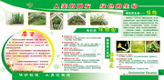 植物园知识展板