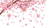 桃花电视背景墙