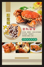 阳澄湖大闸蟹海报设计