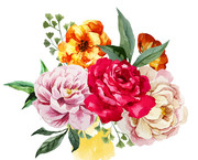 ˮ�ʻ���ͼƬ