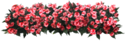 红色花朵植物素材